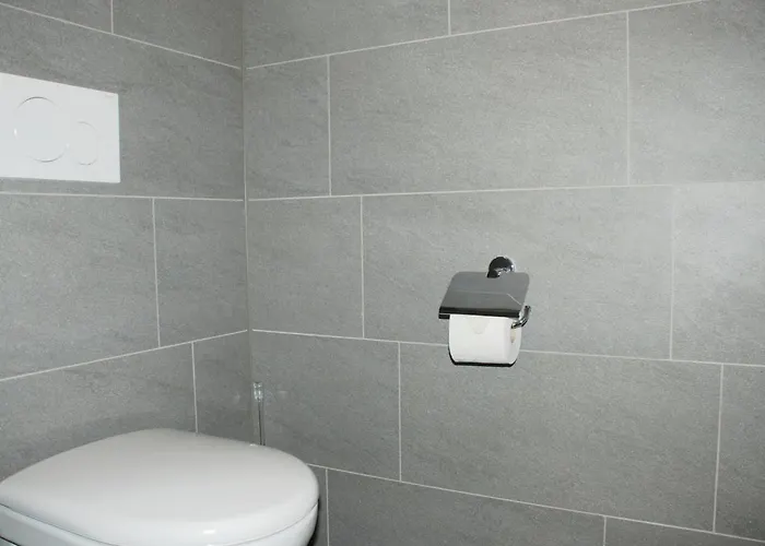 Rossella By Interhome * Minusio